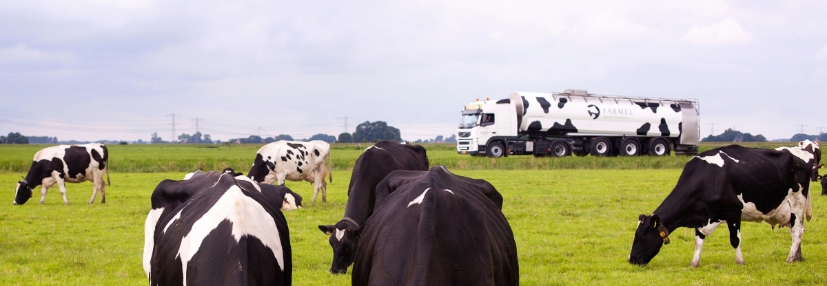 About Farmel — Farmel